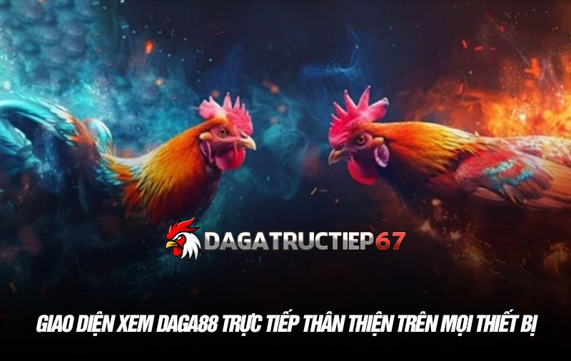 Giao diện xem Daga88 trực tiếp thân thiện trên mọi thiết bị