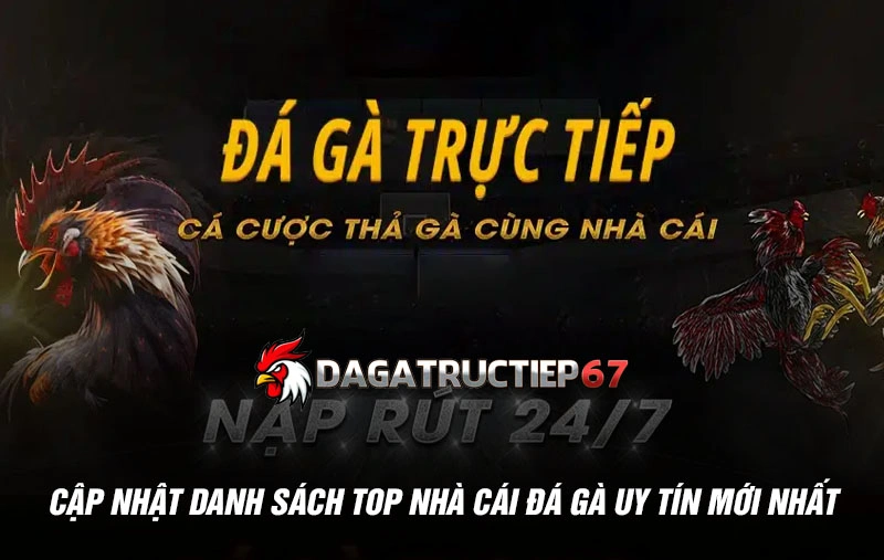 Cập nhật danh sách Top nhà cái đá gà uy tín mới nhất